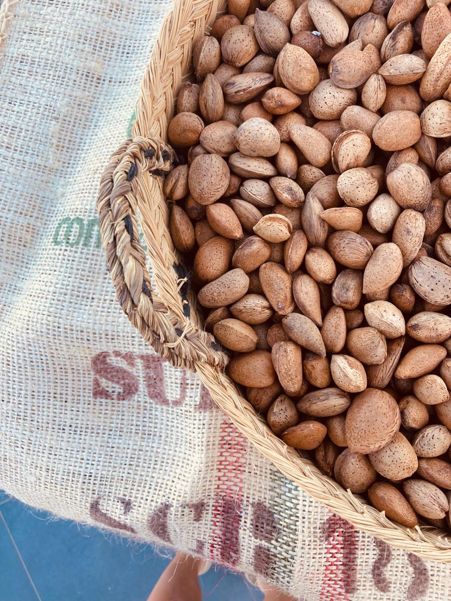 PoloposCasa Coco No 11公寓 外观 照片