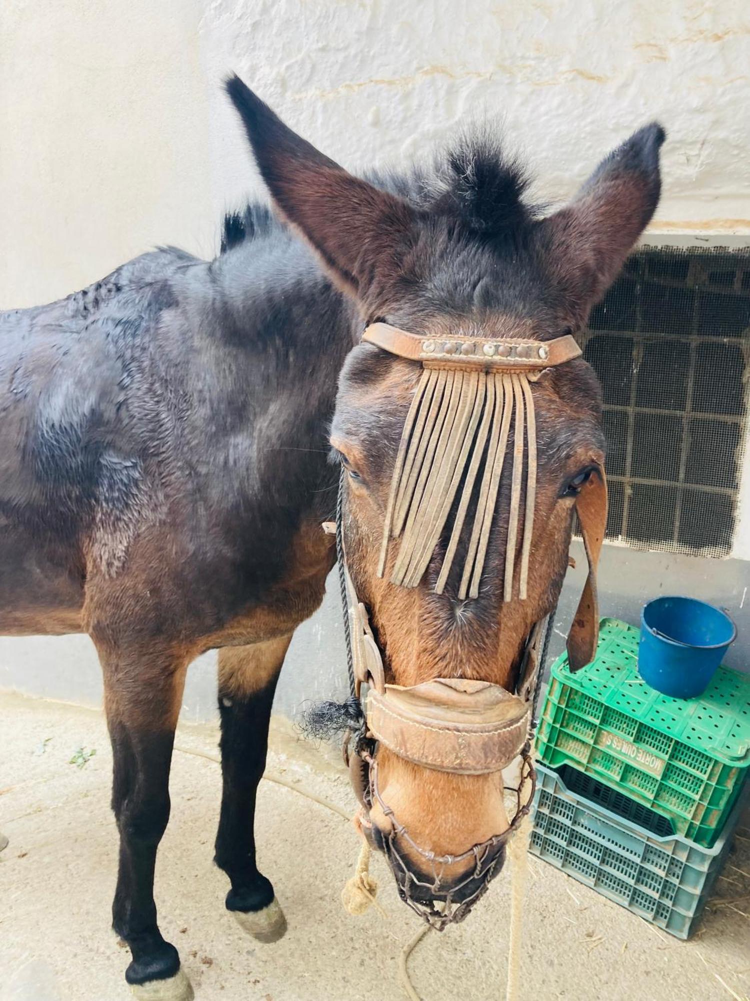PoloposCasa Coco No 11公寓 外观 照片